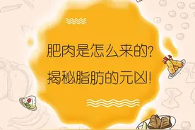 肥肉是怎么来的，揭秘脂肪的元凶！图片