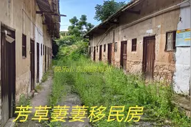 兴宁黄陂发现几座千人围屋，五姓同堂祭祖上灯，如今屋里杂草丛生图片