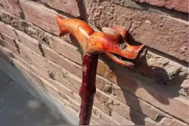 农村俗语：“东西有四不借，借了家败亡”，是指哪四样？图片