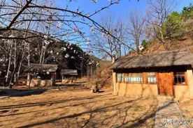 宅基地确权仅剩半个月！登记谁的名字，宅基地就一定属于谁吗？图片