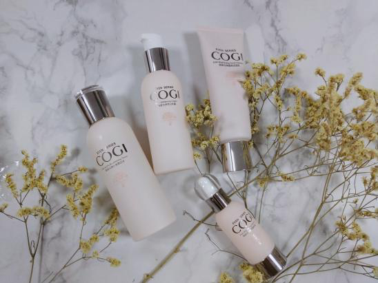 寮€瀛﹀鎶よ偆鏀荤暐锛屾嫰鏁戣鏆戝亣锛岀碂韫嬬殑鑲岃偆