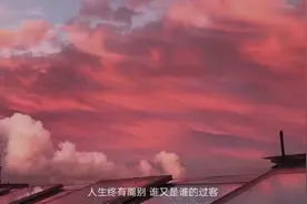 现实和失望都入睡，只剩孤单紧紧跟随图片
