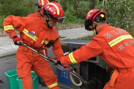 ​杭州环卫大姐吓坏！打开路边的垃圾桶，竟然钻出了一条黑蛇图片