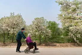 “花香邱县”摄影获奖作品揭晓——母子情深图片