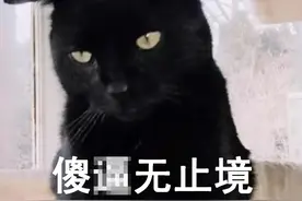 不要当我是傻瓜好吧？这些恰饭文案，就是来侮辱我等智商的图片