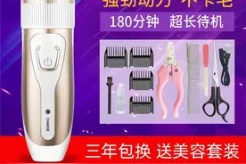 我买了一个宠物剃刀图片