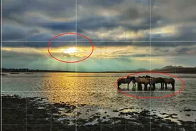 分享几张我在乌兰布统拍摄的照片，顺便说说构图技巧图片