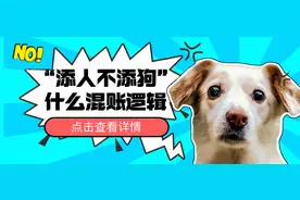 添人不添狗？这是哪来的混账说法？图片