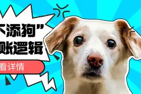 添人不添狗？这是哪来的混账说法？图片