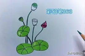 荷花手绘画法（1），在家学画画 网友：正是我要给孩子找的图片