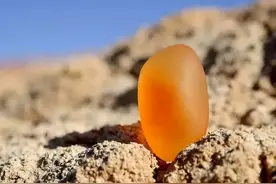 新疆最大的一块宝石光，卖出了280万图片