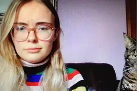 网友开视频会议时被猫乱入，然后被全网嘲笑了图片