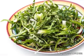 春季时令美食——野菜，这些野菜你都吃过吗？图片