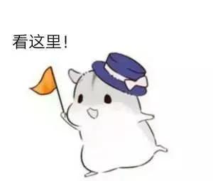 成都积分入户你真的懂吗？这里有一份积分落户全规则，等你来看