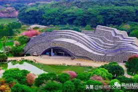 筑梦石都 续写华章 | 柳州奇石馆正式开馆十周年纪实图片