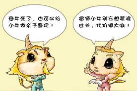 小牛是谁的成了难解之谜，两村民为争牛犊闹上法庭做亲子鉴定图片