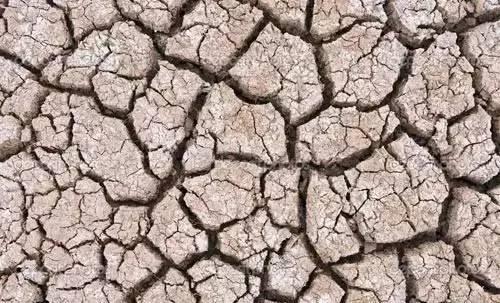 碳素是什么（二氧化碳、小分子碳、碳酸钙也有碳）