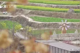 新春走基层・留厦过年 | 山境里的留“厦”与留下图片
