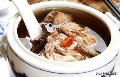 花胶鱼汤的做法大全窍门 花胶鱼汤的做法大全窍门图片