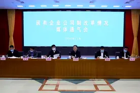 别了，全民所有制企业图片
