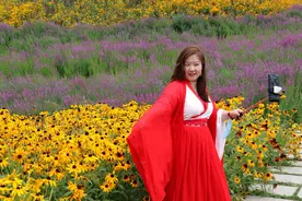 北京昌平七孔桥花海让人一见倾心，看了还想看图片