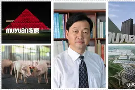 河南10大富豪出炉，参考数据：2021《胡润百富榜》图片