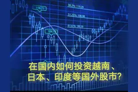 在国内如何投资越南、印度、日本、英国等国外股市？图片