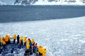 刚刚！科学家在南极冰层深处发现了神秘的海绵生物图片