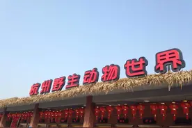 判了！杭州3只金钱豹出逃6人获刑，7个月了，第3只豹能找回来吗？图片