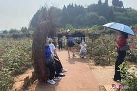 乡村游+红色游，引爆内江“五一”游图片