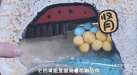 骆驼的驼峰竟然不是用来存水的？那它靠啥在沙漠里笑嘻嘻？