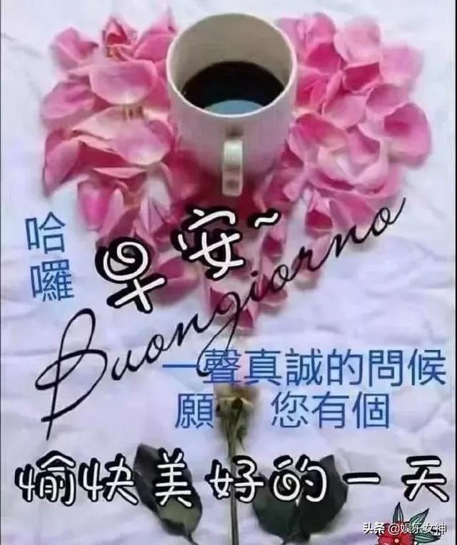 若，人走茶凉，就守心自暖；若，曲终人散，就安享经年，早安