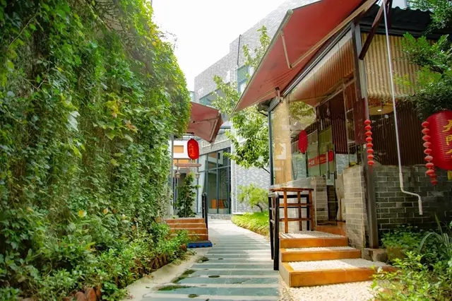 鳄鱼肉炆花胶 2026年鳄鱼胶的吃法