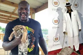 NBA球员宠物路子有多野？猛犬鲨鱼打底，魔兽、铁林令人毛骨悚然图片