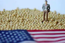 历史回顾：美国是如何通过三步棋，掌控了中国的大豆全产业链的？图片