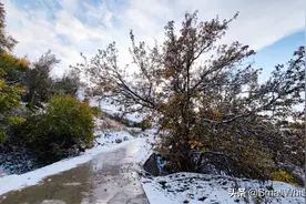 语文老师曾说：宁愿错过，也不将就图片