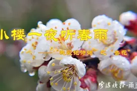 老师填词学生吟诵 宁波奉化一老师的古诗词拓展课学生爱、家长赞图片