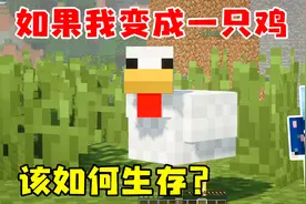 我的世界：当我变成一只鸡，还能活下去吗？变形模组生存视频封面