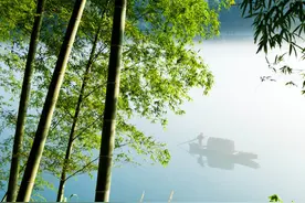 相约竹海，清新自然溢远方图片