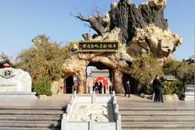 寻找王氏人图片