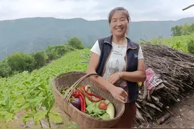 三嫂子：陕西大山里的农村妇女和她的一家人图片