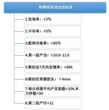 提升母猪生产成绩，嘉吉5S“智慧养猪”方案助力养户“增效降本”
