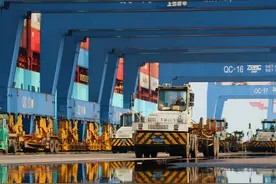 一篇读懂“进口海运运输及其相关费用”图片