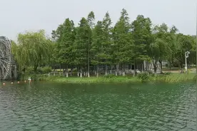 暨阳湖的一面明镜——镜湖生态公园图片