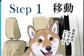 漫画：日本网友记录自家柴犬打狂犬疫苗的过程，柴柴从开心到无助图片