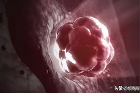 还在羡慕别人“大、圆、独”的优势卵泡？学会这几招，你也可以图片