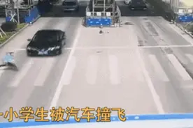 请教给孩子过斑马线的安全细节 | 全国中小学生安全教育日图片