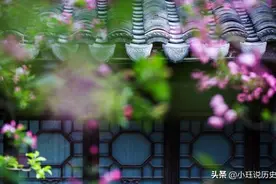《锄禾》为何改为《悯农》？作者到底是谁？图片