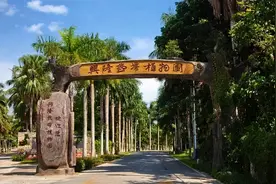 在热带雨林中现做咖啡、巧克力，海南这个神奇宝地你可曾来过？图片