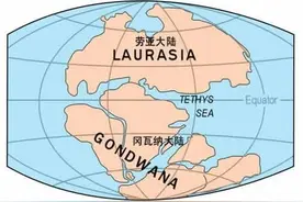 保持“交配姿势”4100万年，最终被发现！科学家：最长时间的交配图片